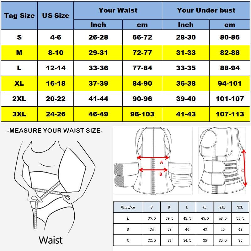 Amazing Waist Trainer Body Shaper for Women - Plus Size 2 Straps Steel Bones Workout - Sauna Trimmer Neoprene Slimming Exercise Corset Tops (FH)(FHW1)(1U31)(1U24)