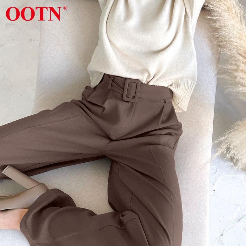 Gorgeous Autumn Office Wide Leg Pants Women Sashes Elastic Waist Pants - Elegant Ladies Brown Trousers Plus Length Palazzo Cozy (D25)(BP)(1U25) - Deals DejaVu