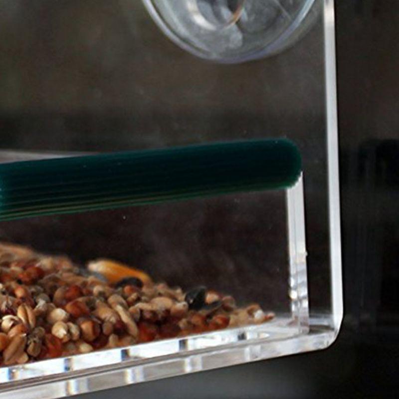 House Styling Hanging Bird Parrot Feeder Clear Glass Window Seed Tray Pet Feeding Accessories (9W4)(F76)