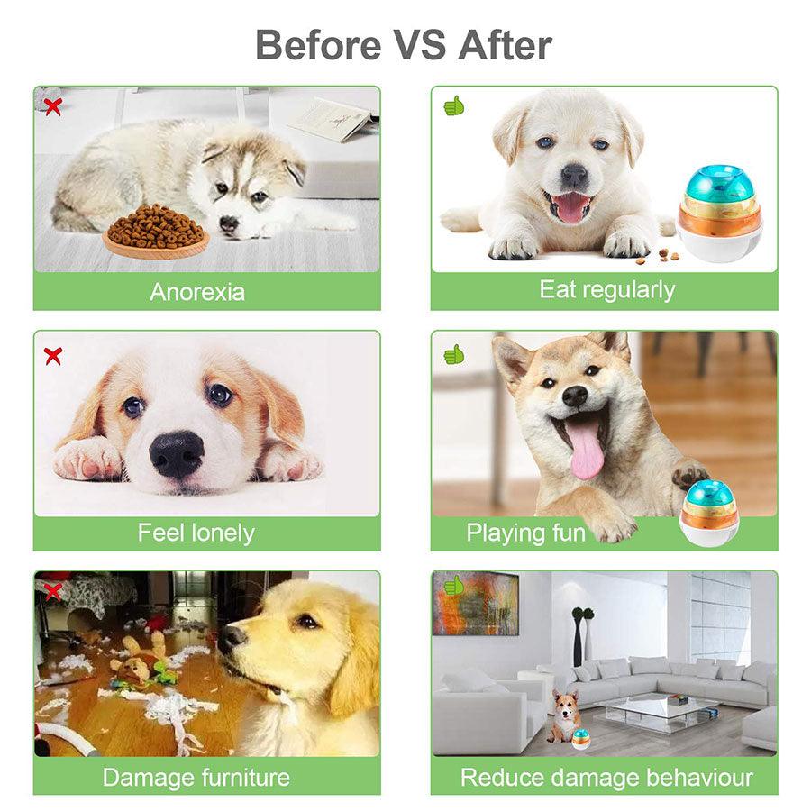 Interactive Dog Toys - Tumbler Leakage Food Dispenser Increases IQ Mental Stimulation for Puppy Cat Toy Pet products (1U73)