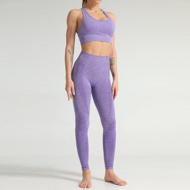 Amazing 2PCS Women Fitness Gym Set - Leggings + Cropped Sport Shirts - Sport Tracksuit (2U24)