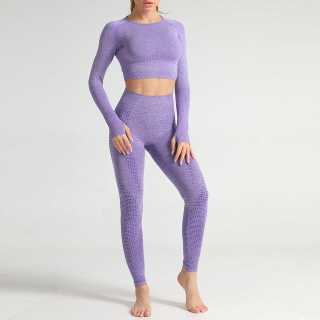 Amazing 2PCS Women Fitness Gym Set - Leggings + Cropped Sport Shirts - Sport Tracksuit (2U24)