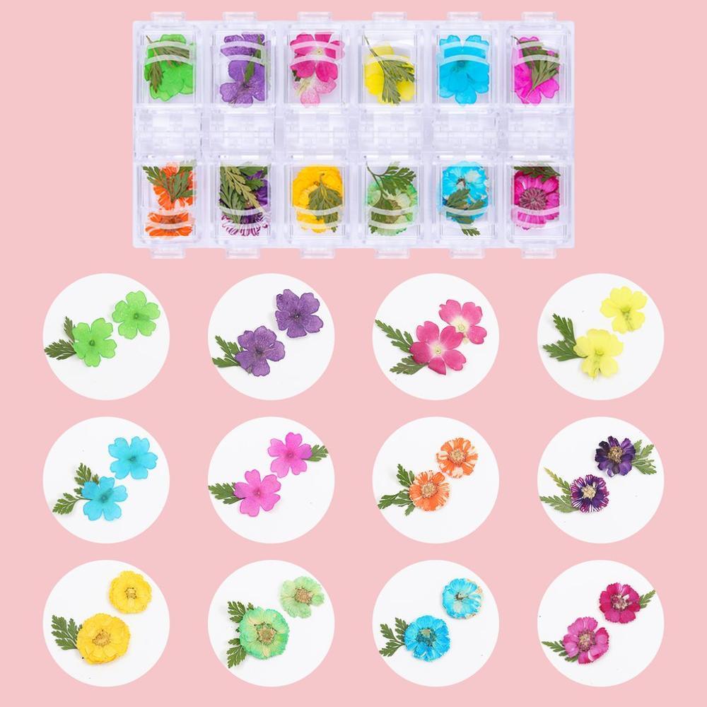 Nail Dried Flowers Nail Art with Clear Poly Nail Gel 50ML, 36 Colors Mini Real Dry Flowers (D85)(N2)(N7)(1U85)