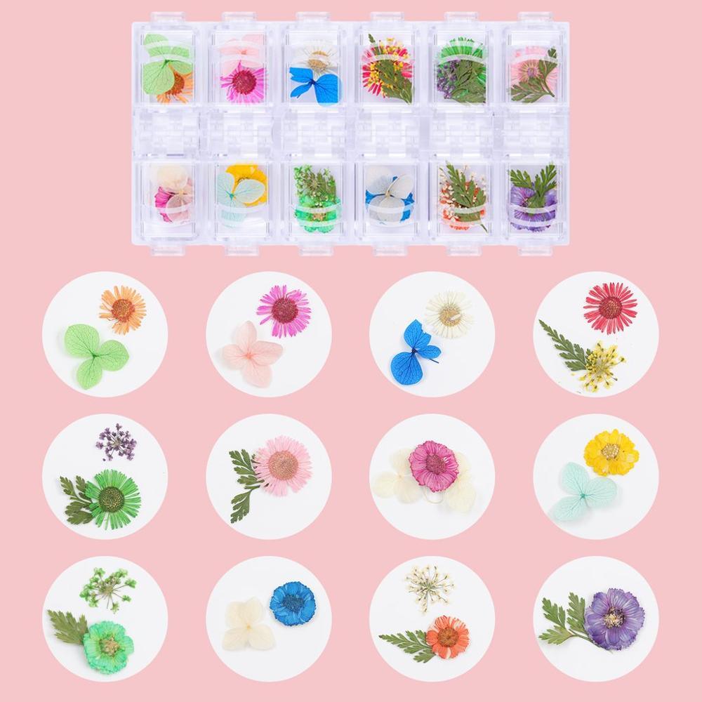 Nail Dried Flowers Nail Art with Clear Poly Nail Gel 50ML, 36 Colors Mini Real Dry Flowers (D85)(N2)(N7)(1U85)