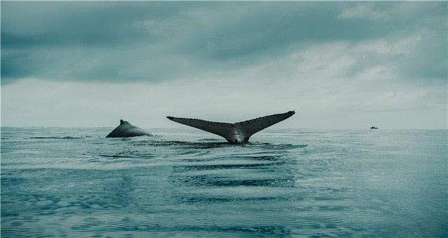 Modern Landscape Wall Art Canvas Painting Picture Nordic Minimalist Print Sea (D62)(AD1)(1BM)