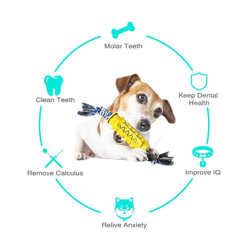 Multifunction Pet Dog Chew Toy Durable Dog Toothbrush Stick - Interactive Training Molar Toys - Food Treat (1U73)