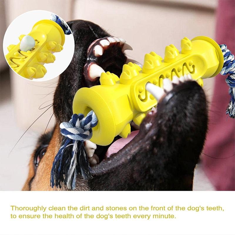 Multifunction Pet Dog Chew Toy Durable Dog Toothbrush Stick - Interactive Training Molar Toys - Food Treat (1U73)