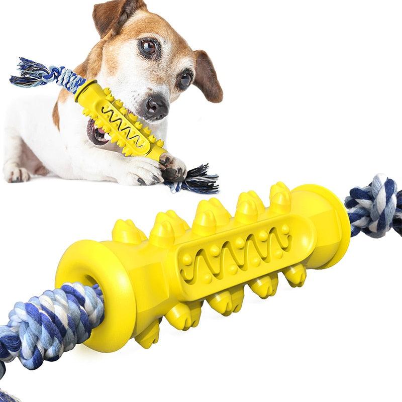 Multifunction Pet Dog Chew Toy Durable Dog Toothbrush Stick - Interactive Training Molar Toys - Food Treat (1U73)