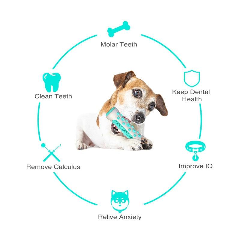 Multifunction Pet Dog - Molar Bite Toy - Tooth Cleaner Bone Chew Cleaning Toothbrush Toys - Bite Resistant (7W2)