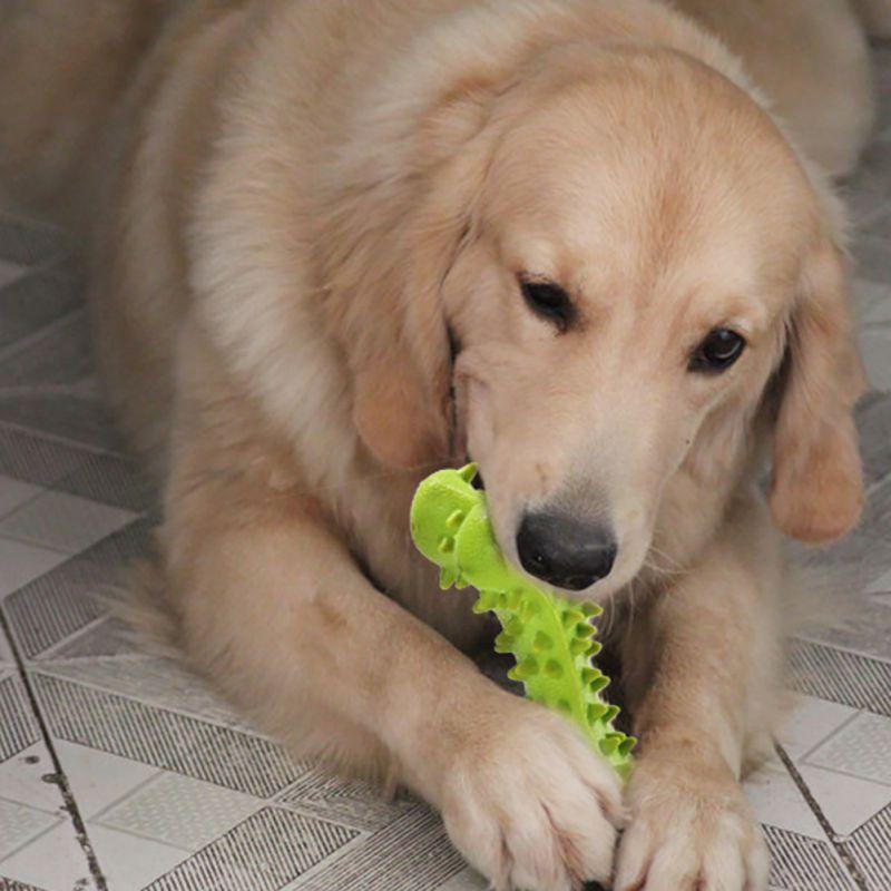 New Pet Dog Toys Bite-Resistant Chew Toy Rubber Bone Shaped Dogs Toy (7W2)