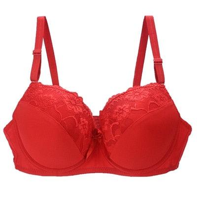 Beautiful Women's Sexy Underwear Bra - Lace Plus Size Bras - Push Up Lingerie 34 36 38 40 42 44 46 Brassiere (TSB2)(F27)