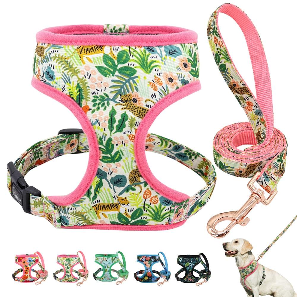 Nylon Dog Harness And Leash Set - Fashion Printed No Pull Pet Dog Harness Vest Lead (D70)(2W1)(3W1)