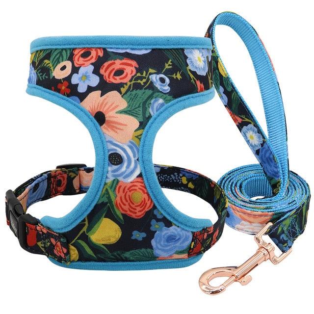 Nylon Dog Harness And Leash Set - Fashion Printed No Pull Pet Dog Harness Vest Lead (D70)(2W1)(3W1)