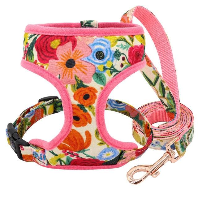 Nylon Dog Harness And Leash Set - Fashion Printed No Pull Pet Dog Harness Vest Lead (D70)(2W1)(3W1)