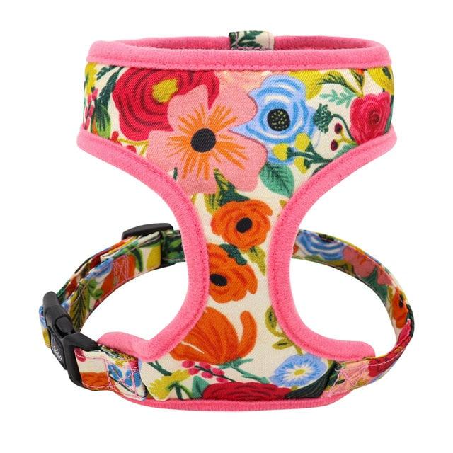 Nylon Dog Harness And Leash Set - Fashion Printed No Pull Pet Dog Harness Vest Lead (D70)(2W1)(3W1)