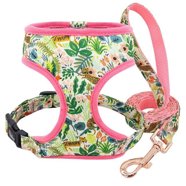 Nylon Dog Harness And Leash Set - Fashion Printed No Pull Pet Dog Harness Vest Lead (D70)(2W1)(3W1)