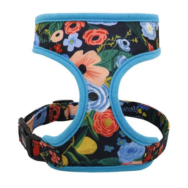 Nylon Dog Harness And Leash Set - Fashion Printed No Pull Pet Dog Harness Vest Lead (D70)(2W1)(3W1)