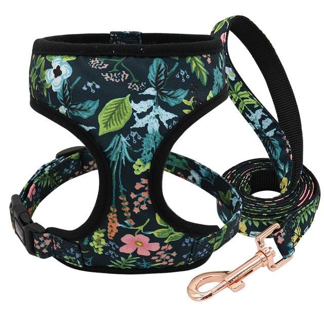Nylon Dog Harness And Leash Set - Fashion Printed No Pull Pet Dog Harness Vest Lead (D70)(2W1)(3W1)