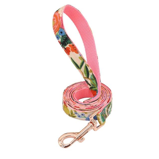 Nylon Dog Harness And Leash Set - Fashion Printed No Pull Pet Dog Harness Vest Lead (D70)(2W1)(3W1)