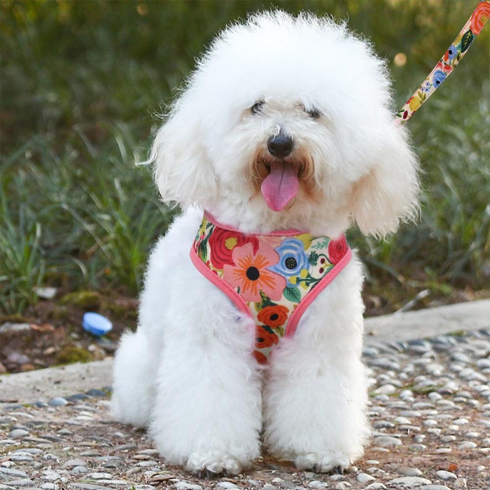 Nylon Dog Harness And Leash Set - Fashion Printed No Pull Pet Dog Harness Vest Lead (D70)(2W1)(3W1)
