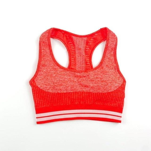Great Seamless Yoga Fitness Set - Women Sportswear Tank Bra , Leggings Shorts Workout Clothes - Gym Clothing 2 Piece Tracksuit (1U24)