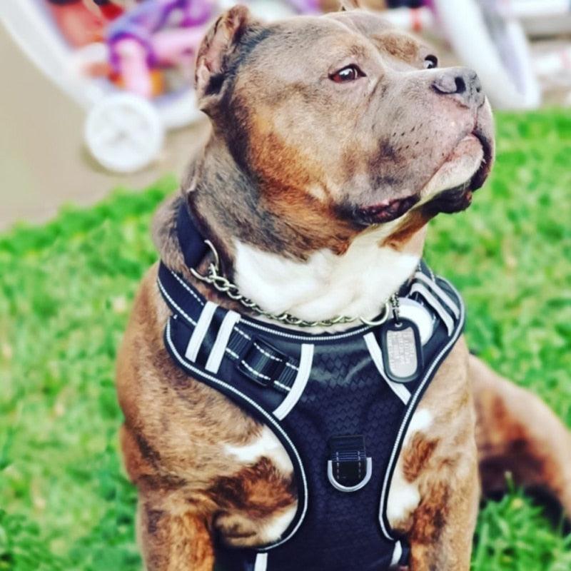 Pet Dog Harness Adjustable Soft Breathable Vest Harness For Small Medium Dogs Puppy Collar (3U70)