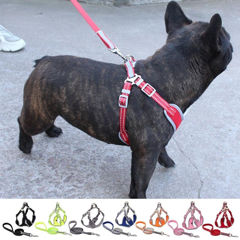 Pet Dog Harness And Leash Set - Adjustable Reflective Breathable Mesh Vest Harnesses Traction Rope (2U70)