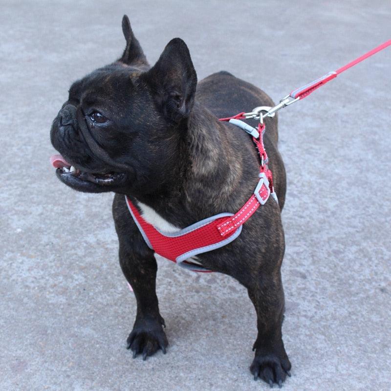 Pet Dog Harness And Leash Set - Adjustable Reflective Breathable Mesh Vest Harnesses Traction Rope (2U70)