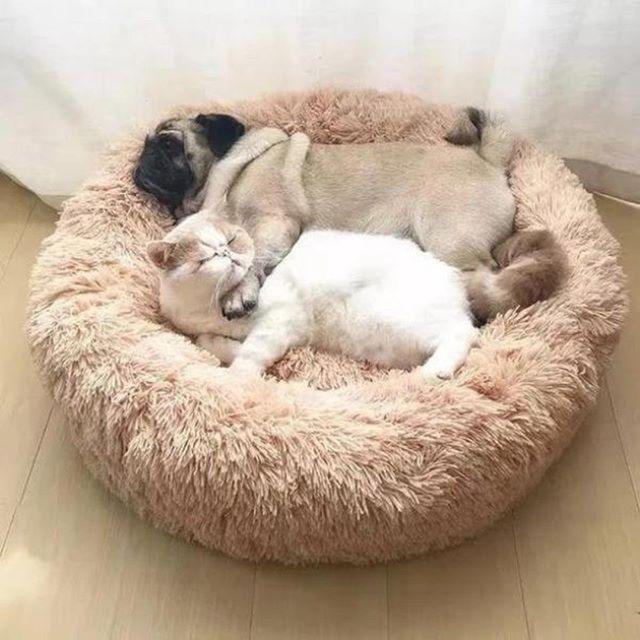 Pet Dog Puppy Fleece Warm Bed House Plush Cozy Nest Mat Pad - Pet House Bed Sofa Sleeping Bag (4W3)(6W3)(F74)