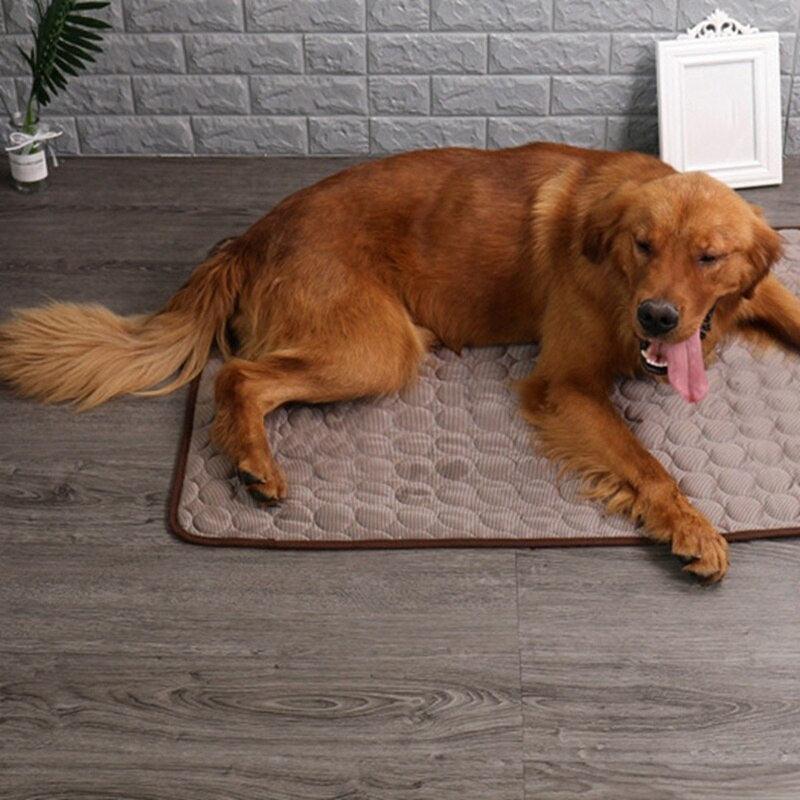 Pet Dog Summer Cooling Mats - Blanket Ice Cats Bed Mats For Dog Sofa Portable Tour Camping Yoga Sleeping Massage (2U74)