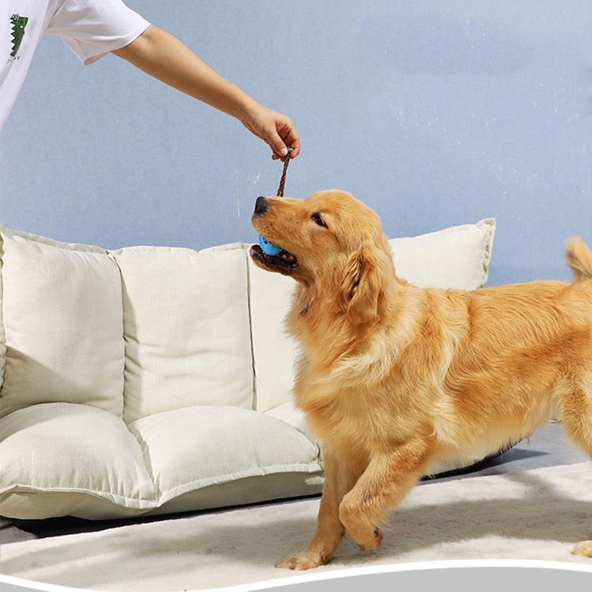 Pet Dog Toy - Interactive Feeding Ball Chew Toy - Teeth Cleaning Dog Toothbrush Spill Ball Doggy Puppy Dental Care (2U73)