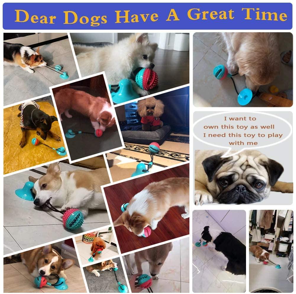Pet Dog Toys - Silicon Suction Cup Tug Dog Toy - Cleaning Dog Toothbrush for Puppy Large Dog - Biting Toy (1U73)