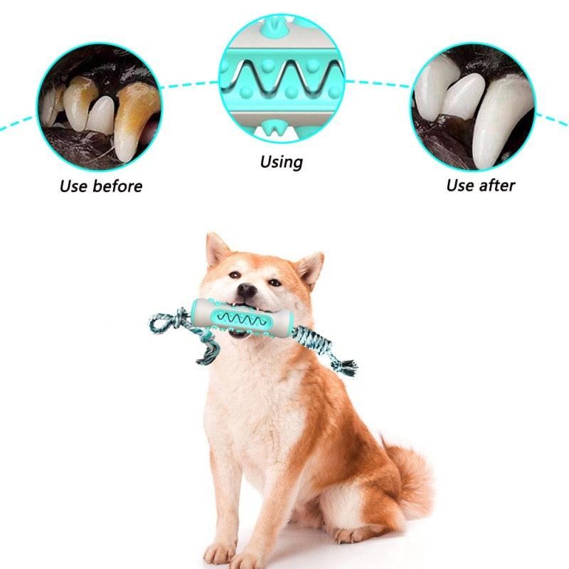 Pet Molar Stick Dog Toothbrush Toy Bone Shape Dog Chew Toys - Chewer Tooth Cleaning Playing Toys (D73)(7W2)