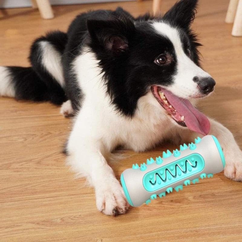 Pet Molar Stick Dog Toothbrush Toy Bone Shape Dog Chew Toys - Chewer Tooth Cleaning Playing Toys (D73)(7W2)