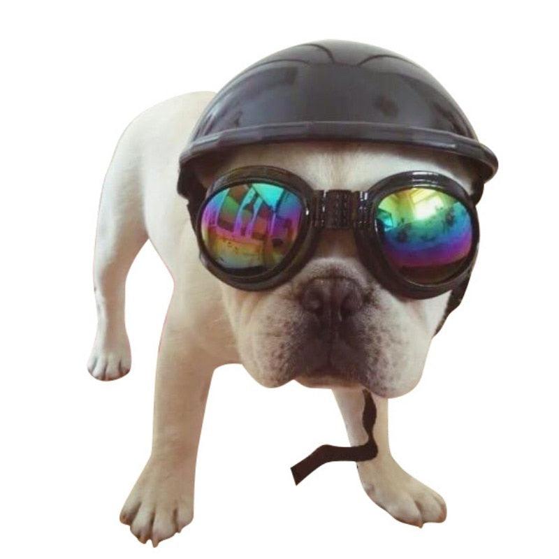 Pets Handsome Helmets - Dog Ridding Caps Hat - Plastic Puppy Cat Bike Motorcycle Protect Helmets (2U69)