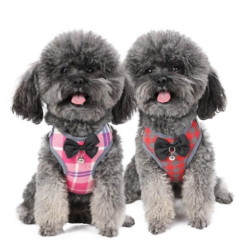Plaid Evening Dress Small Dog Harness Vest With Leash Pitbull Mesh Puppy Harness Beagle Pet Accessories (3W1)(2W1)(F70)