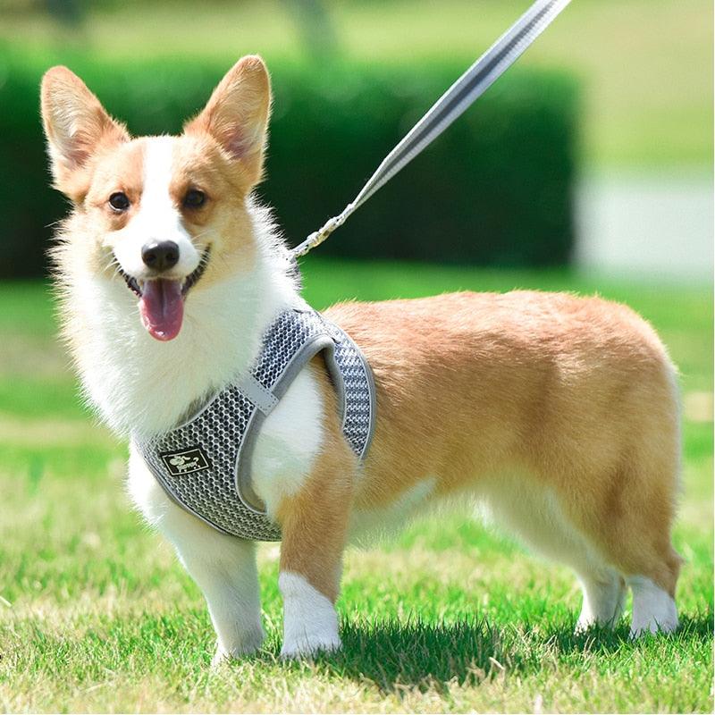 Reflective Dog Cat Harness Leash Set - Adjustable Vest No Pull Breathable Mesh Outdoor Products (1U75)(1U70)