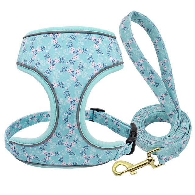 Reflective Dog Harness And Leash Set - Fashion Printed No Pull Pet Dog Harness Vest Lead Leash (3W1)(2W1)(F70)