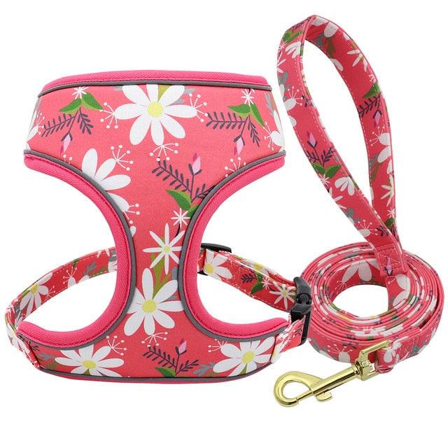 Reflective Dog Harness And Leash Set - Fashion Printed No Pull Pet Dog Harness Vest Lead Leash (3W1)(2W1)(F70)
