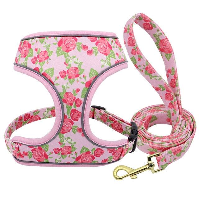 Reflective Dog Harness And Leash Set - Fashion Printed No Pull Pet Dog Harness Vest Lead Leash (3W1)(2W1)(F70)
