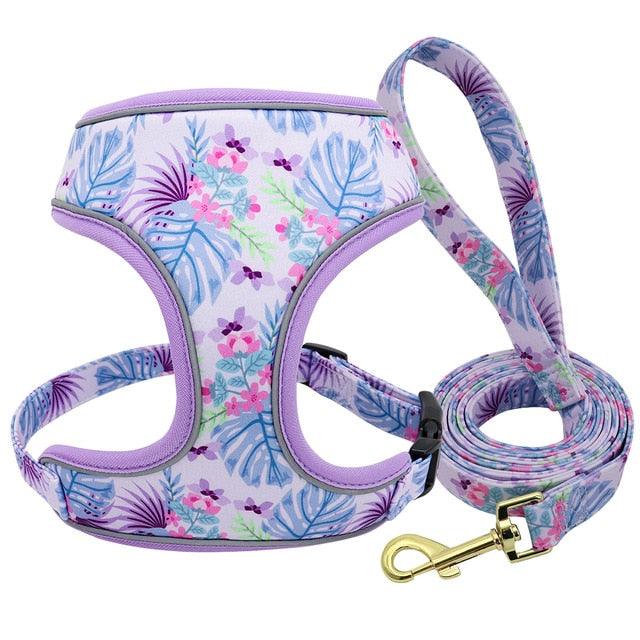 Reflective Dog Harness And Leash Set - Fashion Printed No Pull Pet Dog Harness Vest Lead Leash (3W1)(2W1)(F70)
