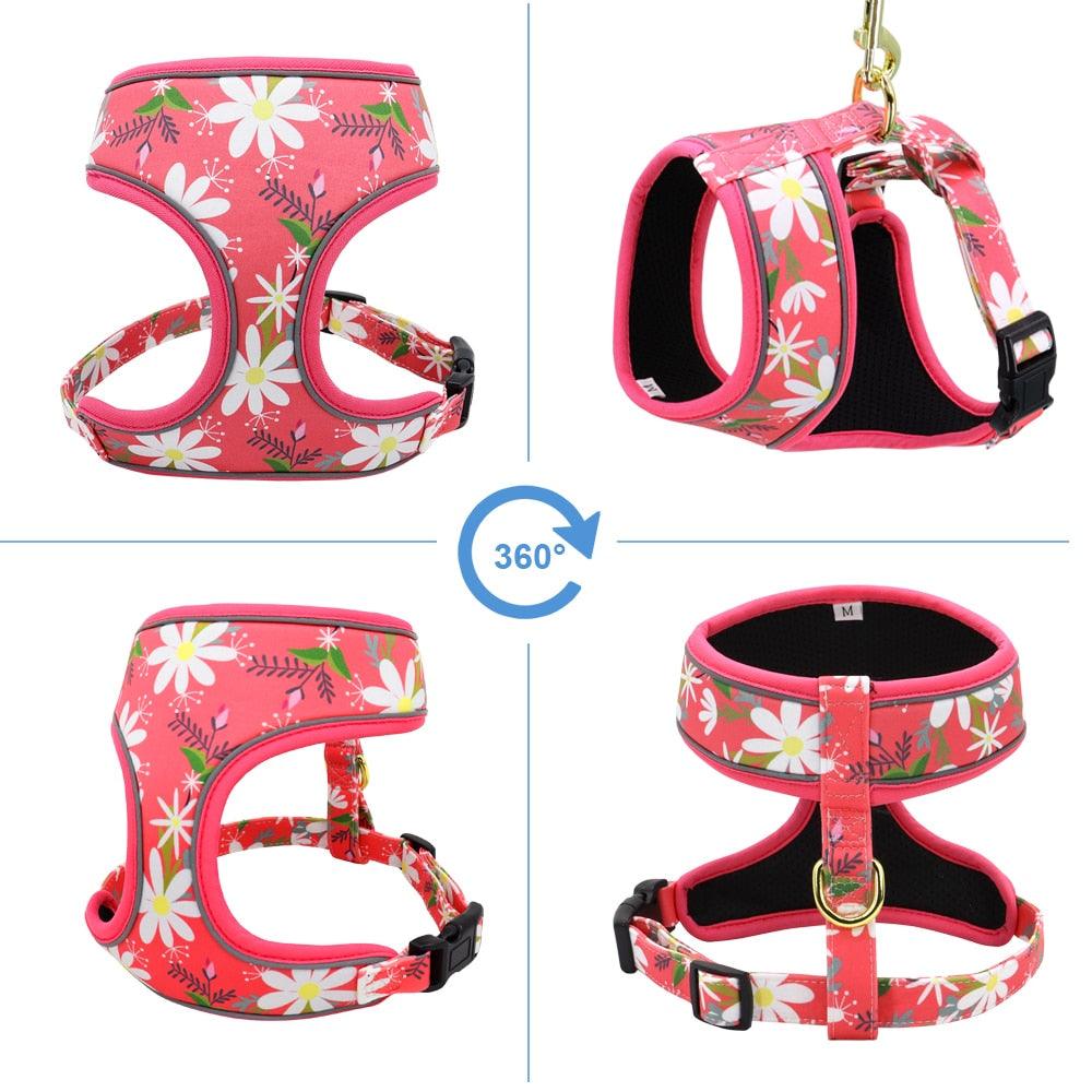 Reflective Dog Harness And Leash Set - Fashion Printed No Pull Pet Dog Harness Vest Lead Leash (3W1)(2W1)(F70)
