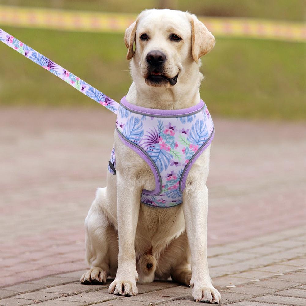 Reflective Dog Harness And Leash Set - Fashion Printed No Pull Pet Dog Harness Vest Lead Leash (3W1)(2W1)(F70)
