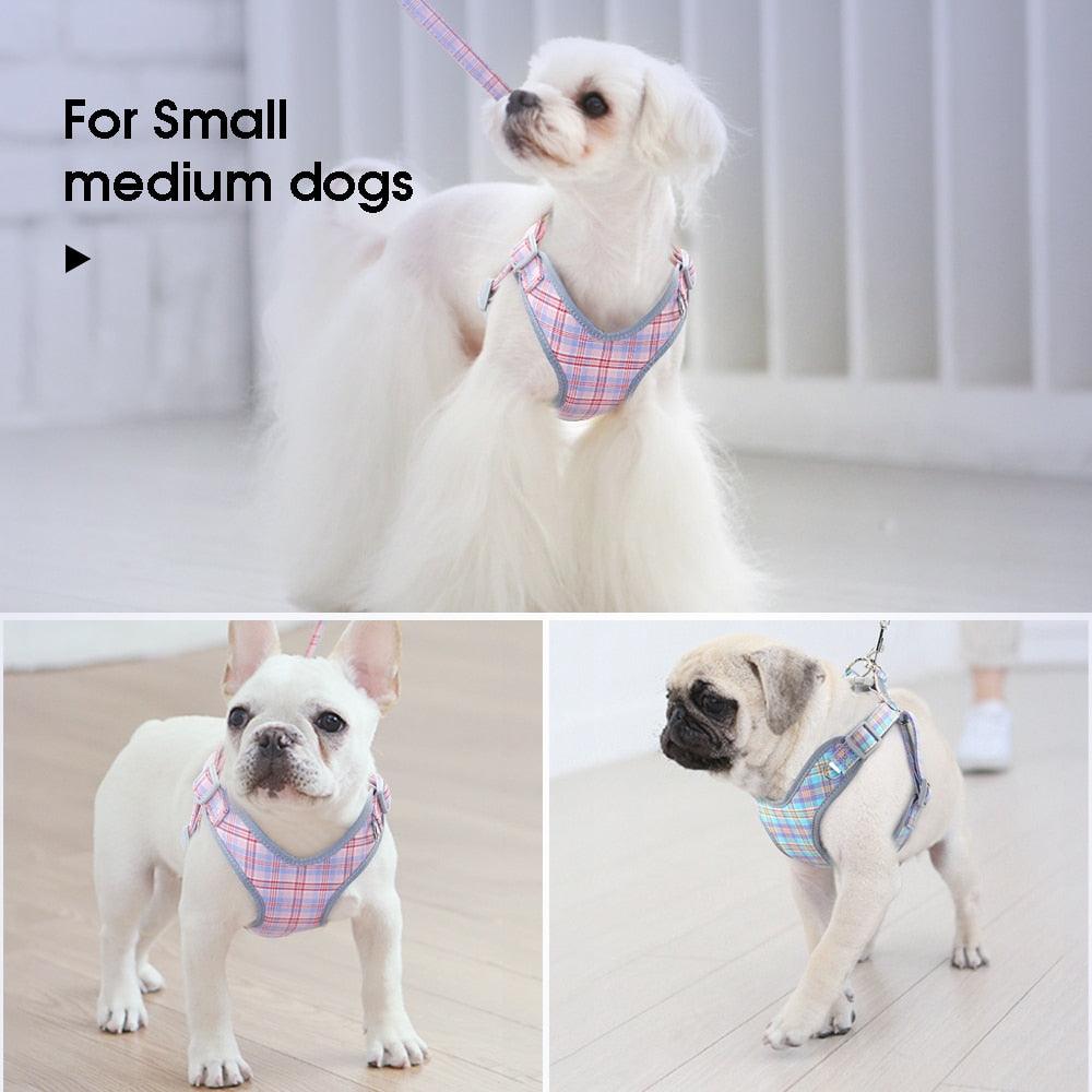Reflective Dog Harness Leash Set - Cute Pet Puppy Chihuahua Harness Soft Vest Harnesses (D70)(3W1)