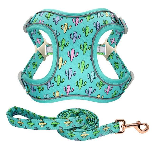 Reflective Nylon Dog Harness And Leash Set - Breathable Mesh No Pull Dog Vest Leash Fashion Printed French Bulldog Harness (3W1)(2W1)