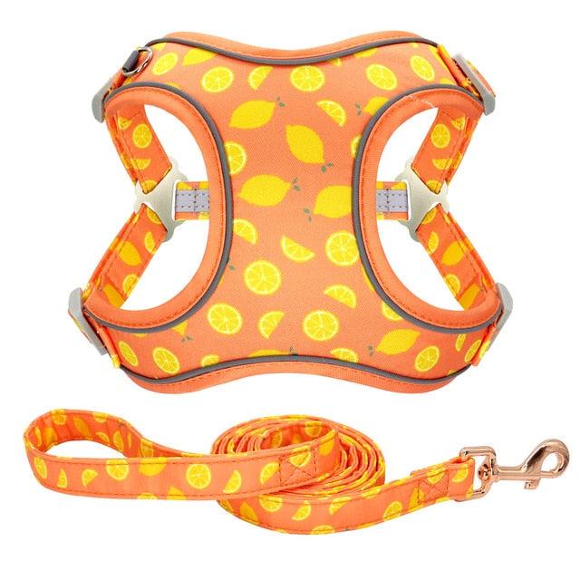 Reflective Nylon Dog Harness And Leash Set - Breathable Mesh No Pull Dog Vest Leash Fashion Printed French Bulldog Harness (3W1)(2W1)