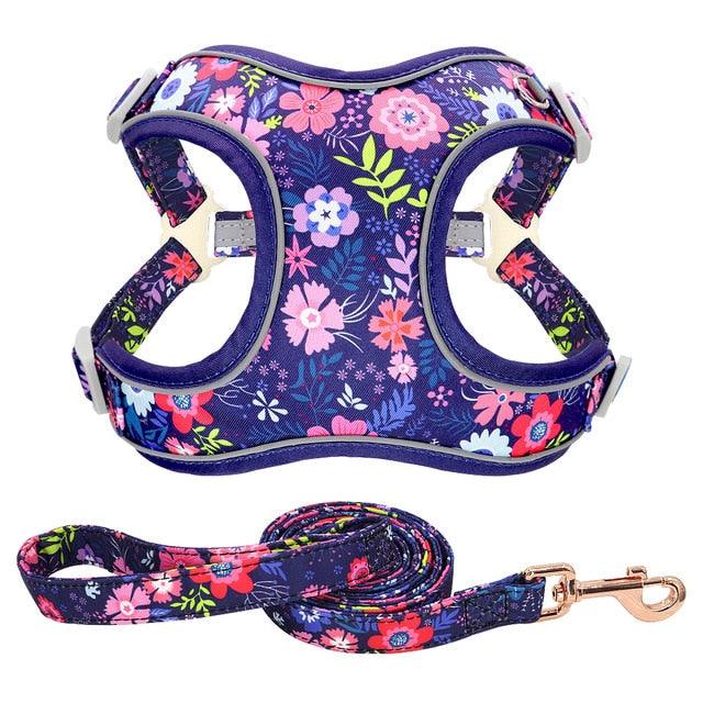 Reflective Nylon Dog Harness And Leash Set - Breathable Mesh No Pull Dog Vest Leash Fashion Printed French Bulldog Harness (3W1)(2W1)