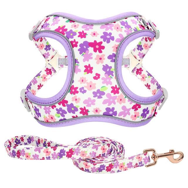 Reflective Nylon Dog Harness And Leash Set - Breathable Mesh No Pull Dog Vest Leash Fashion Printed French Bulldog Harness (3W1)(2W1)