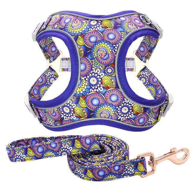 Reflective Nylon Dog Harness And Leash Set - Breathable Mesh No Pull Dog Vest Leash Fashion Printed French Bulldog Harness (3W1)(2W1)