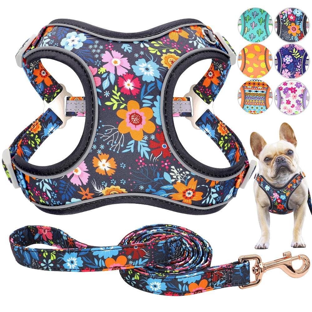 Reflective Nylon Dog Harness And Leash Set - Breathable Mesh No Pull Dog Vest Leash Fashion Printed French Bulldog Harness (3W1)(2W1)